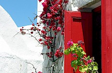 Αμοργός