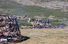 Πρόποδες Ψηλορείτη